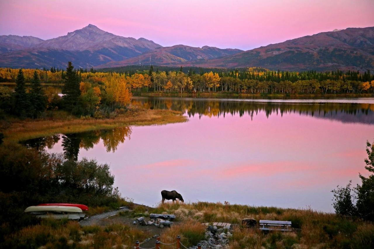 Denali Lakeview Inn Healy Exteriér fotografie